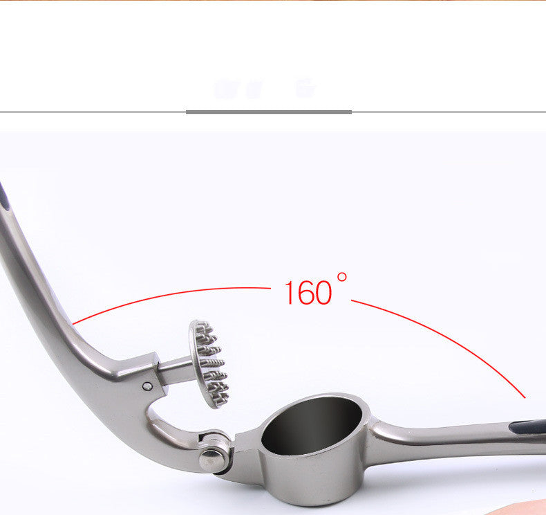 Manual Garlic Press Masher