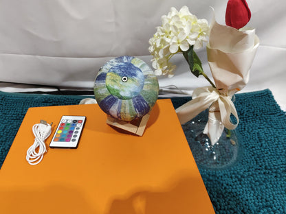 3D Earth & Moon Lamp