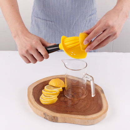 Creative Manual Juicer Strainer