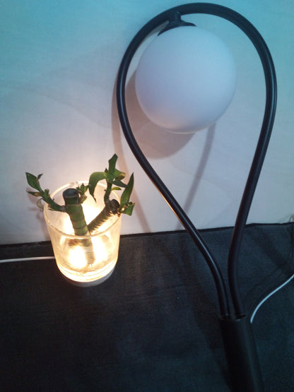 Nordic Glass Wall Lamp