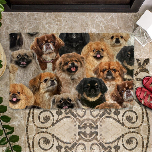 Christmas Coral Fleece Entrance Mat